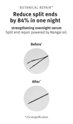 Aveda Botanical Repair Strengthening Overnight Serum -Aveda Store av prod 100535 355x600 5