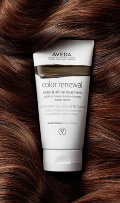 Aveda Color Renewal Color & Shine Treatment -Aveda Store av prod 102748 355x600 4