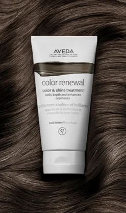 Aveda Color Renewal Color & Shine Treatment -Aveda Store av prod 102748 355x600 5
