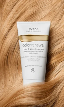 Aveda Color Renewal Color & Shine Treatment -Aveda Store av prod 102748 355x600 6