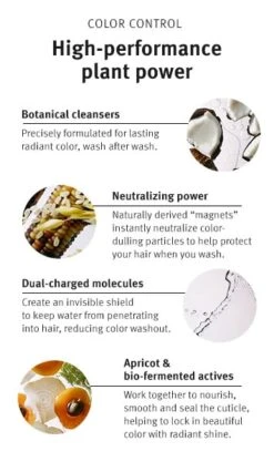 Aveda Color Control Shampoo -Aveda Store av prod 106874 355x600 2