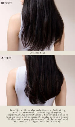 Aveda Scalp Solutions Balancing Shampoo -Aveda Store av prod 112255 355x600 2