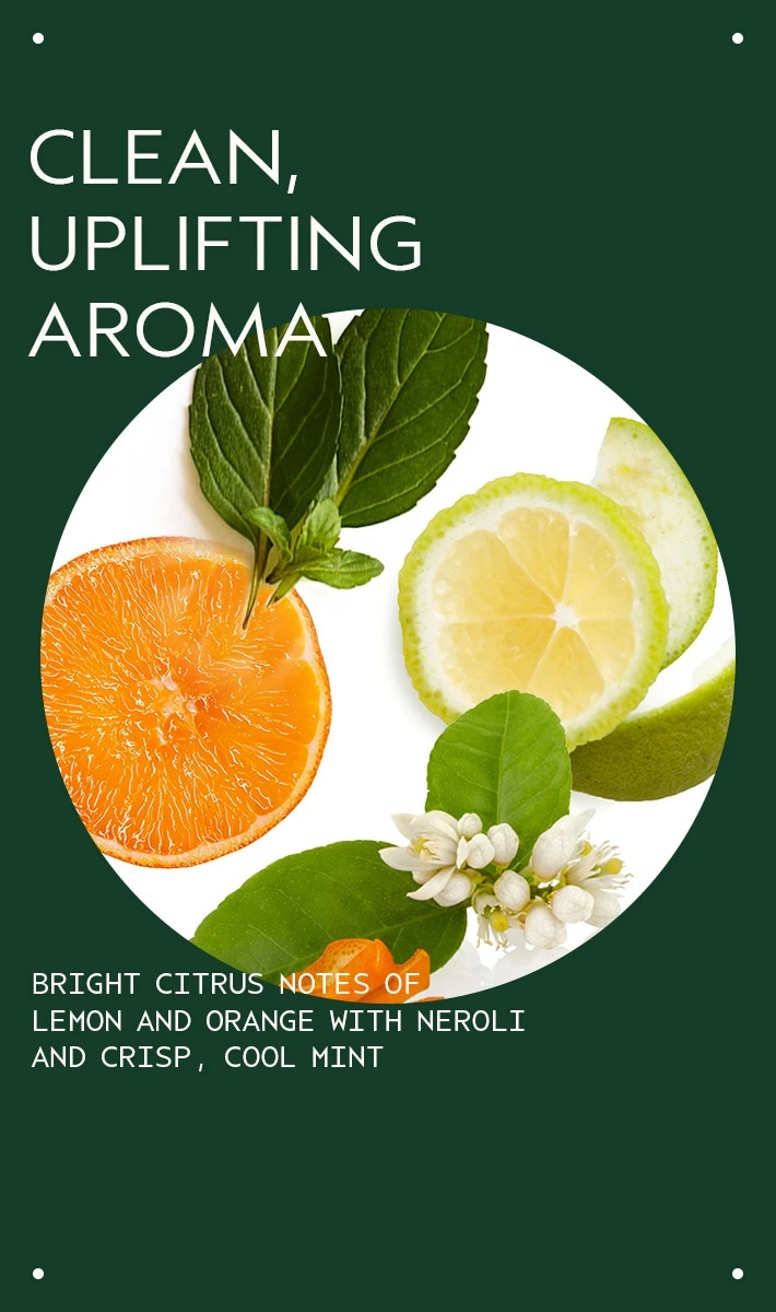 Aveda Scalp Solutions Replenishing Conditioner 6 Aveda Scalp Solutions Replenishing Conditioner - Image 6