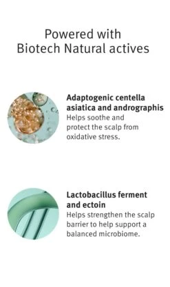 Aveda Scalp Solutions Refreshing Protective Mist -Aveda Store av prod 112271 355x600 6