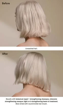 Aveda Limited-edition Botanical Repair Leave-in Treatment -Aveda Store av prod 117042 355x600 5