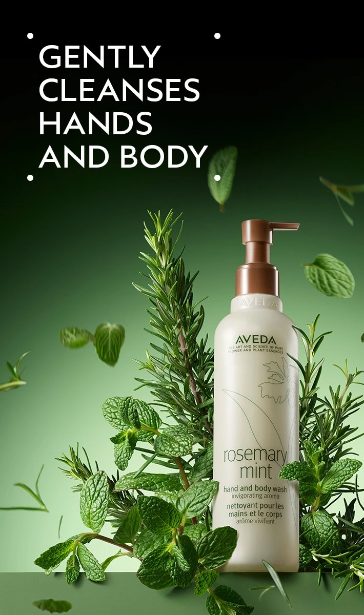 Aveda Rosemary Mint Hand And Body Wash 2 Aveda Rosemary Mint Hand And Body Wash - Image 2
