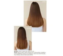 Aveda Invati Advanced Scalp Revitalizer -Aveda Store av prod 54392 355x600 4