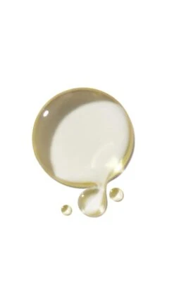 Aveda Nutriplenish Multi-use Hair Oil 21 Aveda Nutriplenish Multi-use Hair Oil -Aveda Store av prod 71181 355x600 0