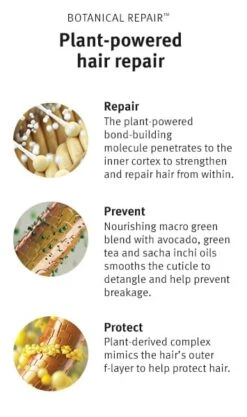 Aveda Botanical Repair Strengthening Conditioner -Aveda Store av prod 80715 355x600 4