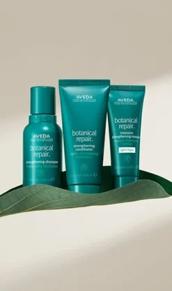 Aveda Botanical Repair Strengthening Trio Light -Aveda Store av prod 80719 355x600 7