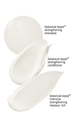 Aveda Botanical Repair Strengthening Trio Rich -Aveda Store av prod 80720 355x600 0