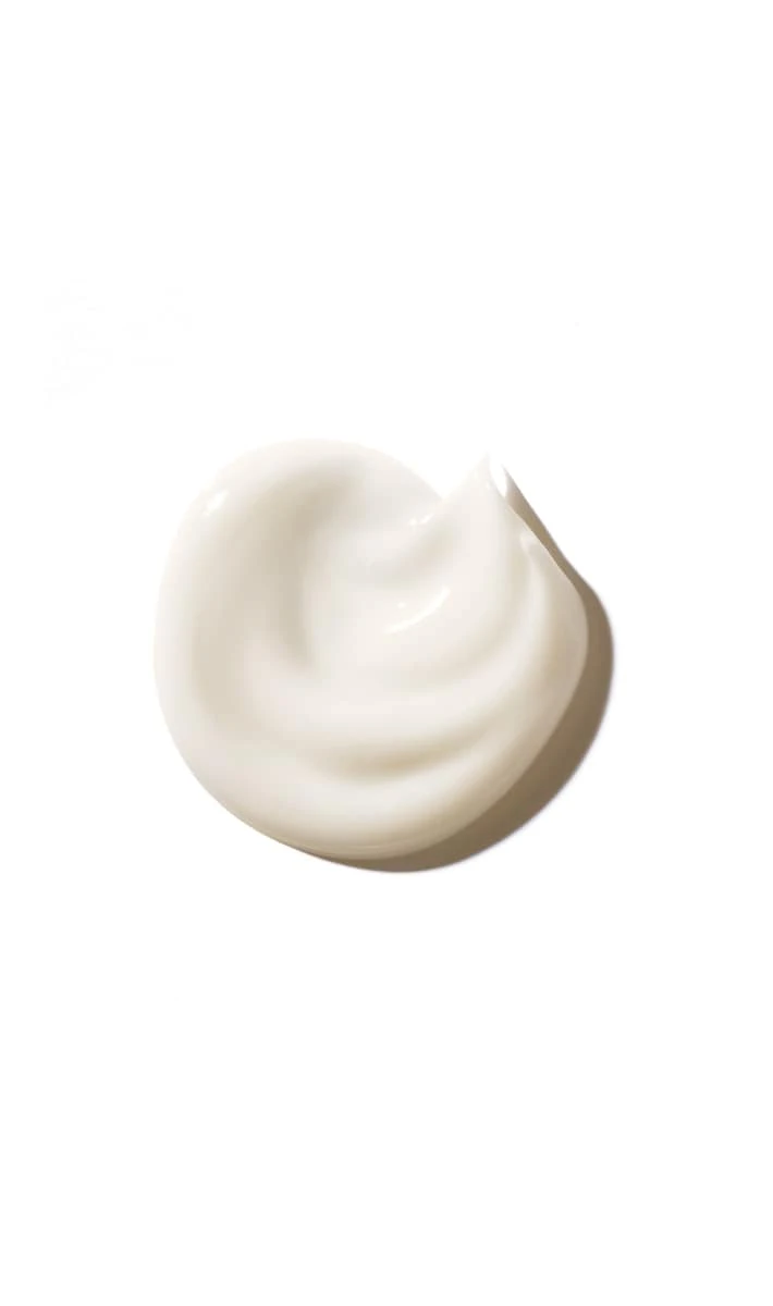 Aveda Nutriplenish Daily Moisturizing Treatment 4 Aveda Nutriplenish Daily Moisturizing Treatment - Image 4