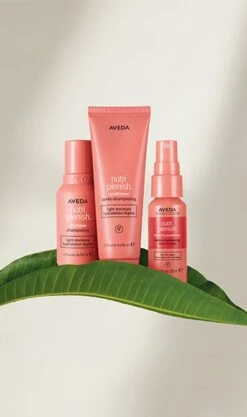 Aveda Nutriplenish Light Moisture Trio -Aveda Store av prod 86146 355x600 8