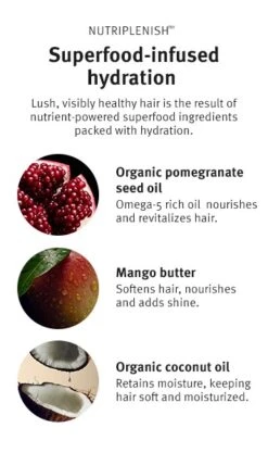 Aveda Nutriplenish Deep Moisture Trio -Aveda Store av prod 86228 355x600 8