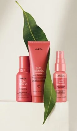 Aveda Nutriplenish Deep Moisture Trio -Aveda Store av prod 86228 355x600 9