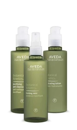 Aveda Botanical Kinetics Daily Care For Oily/normal Skin Set