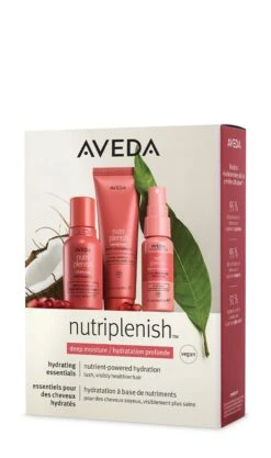 Aveda Nutriplenish Deep Moisture Trio -Aveda Store av sku VMWF01 151437 355x600 0